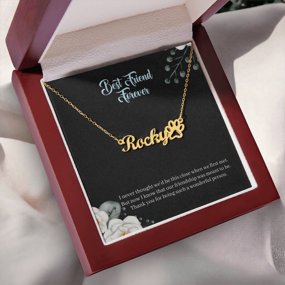 Best Friend Forever | Our Friendship Is Meant To Be | Custom Name Necklace