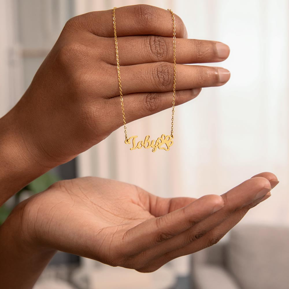 A Truly Amazing Baby Sitter | Thank You For All You Do | Professional Name Pendant Necklace