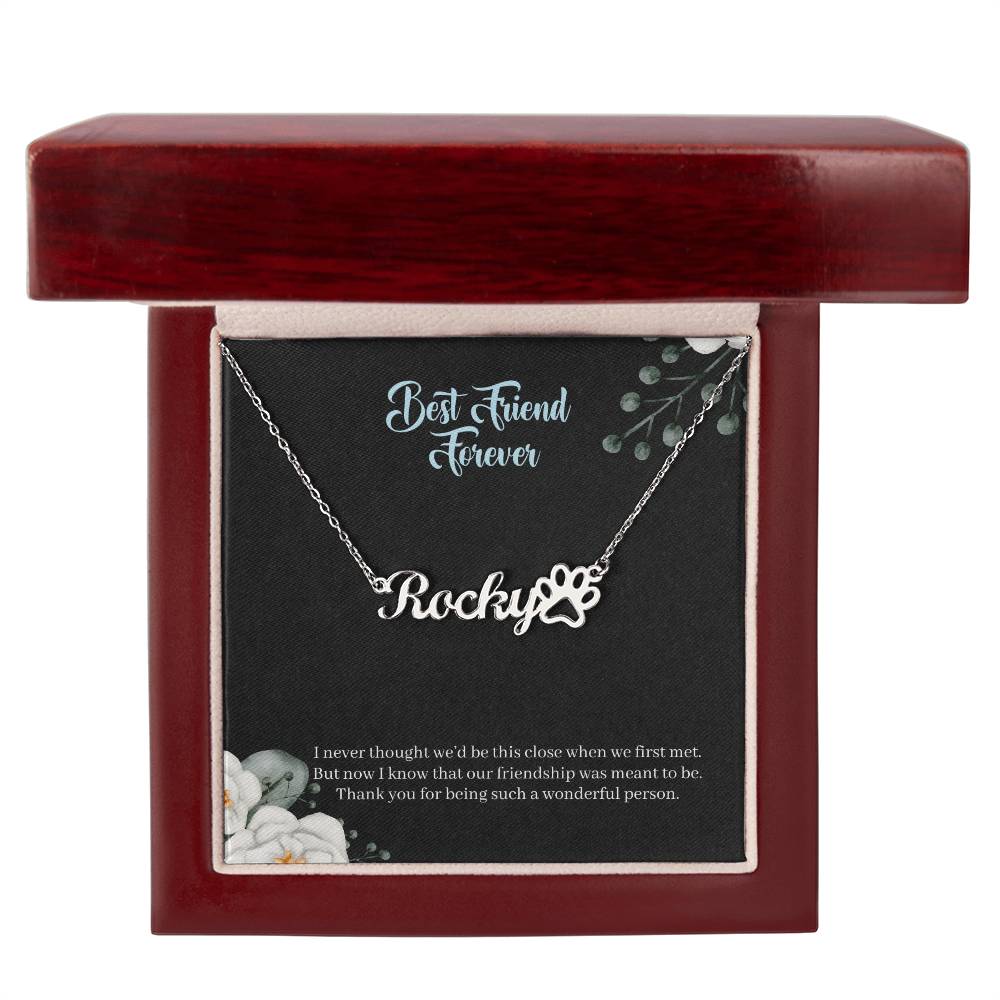 Best Friend Forever | Our Friendship Is Meant To Be | Custom Name Necklace