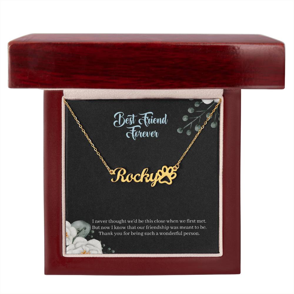 Best Friend Forever | Our Friendship Is Meant To Be | Custom Name Necklace